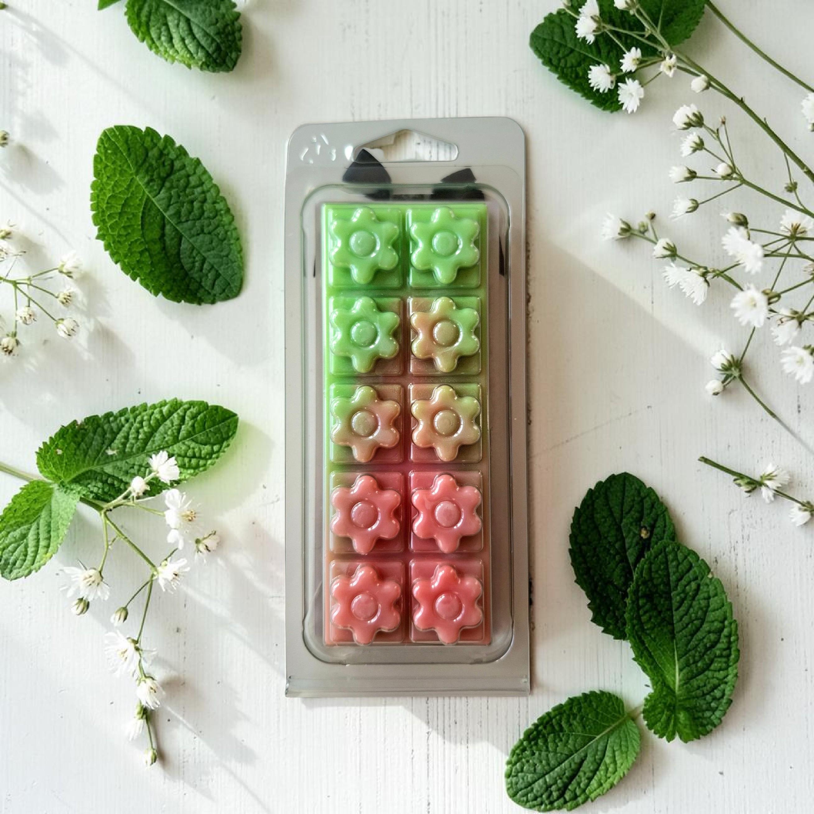Rhubarb and Mint Flower Wax Melt Snap Bar, Soy Wax, UK Handmade, Highly Fragranced, gift for her