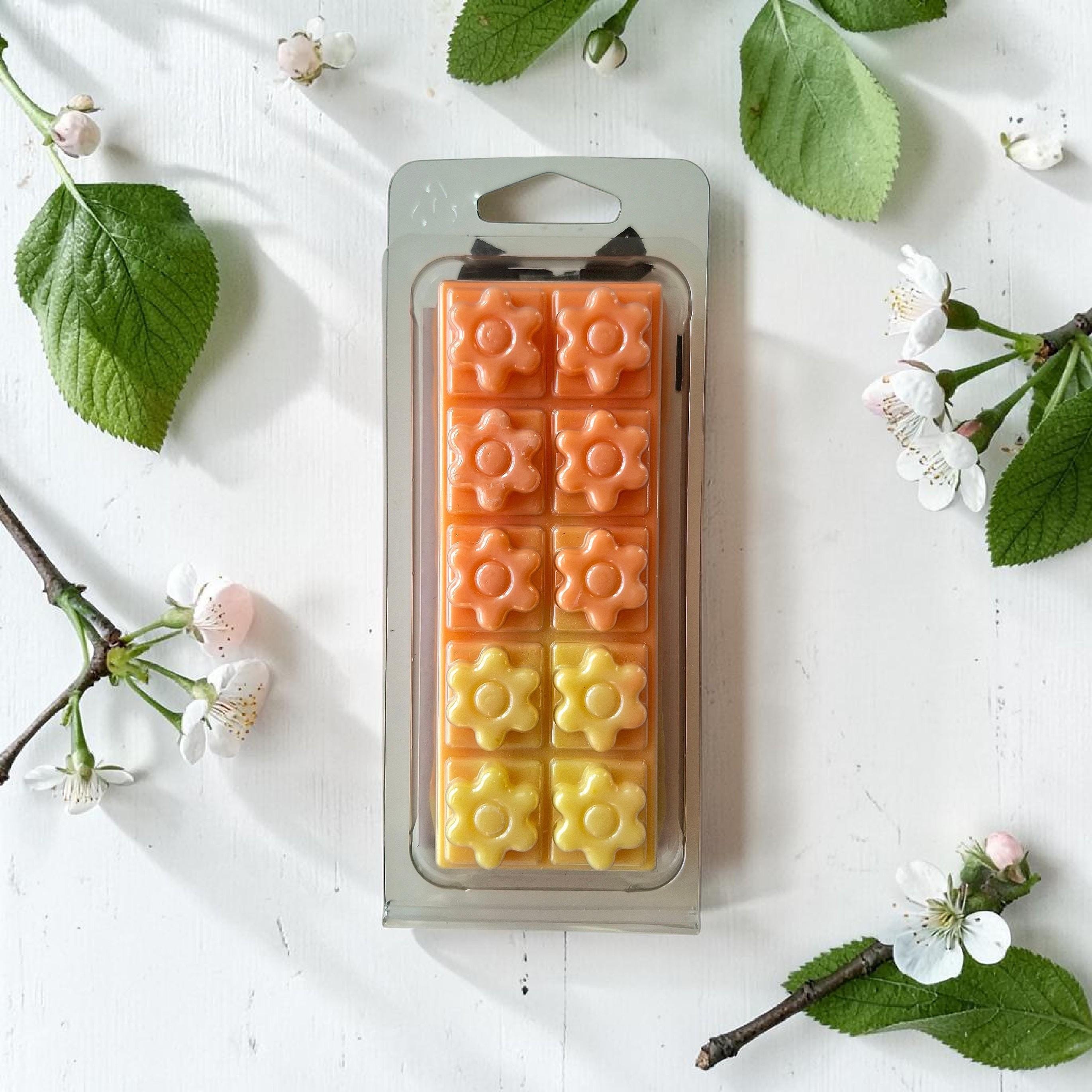 Bora Bora Wax Melt Snap Bar | Coconut Pineapple Scent | Handmade Soy Wax Melts UK | Tropical Fragrance | Gift for Her | Home Scent