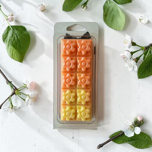 Bora Bora Wax Melt Snap Bar | Coconut Pineapple Scent | Handmade Soy Wax Melts UK | Tropical Fragrance | Gift for Her | Home Scent